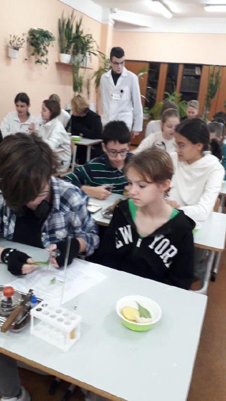Каникулярные интенсивы.