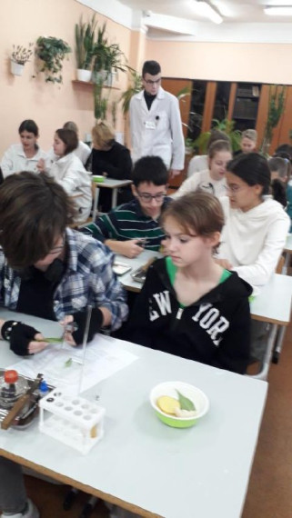 Каникулярные интенсивы.